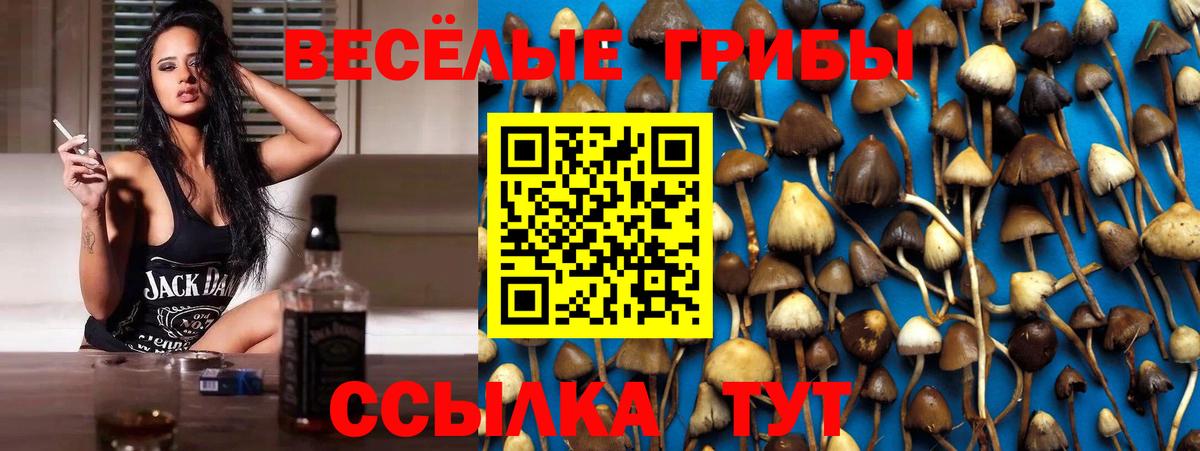 Галлюциногенные грибы мухоморы  Вход с VPN  Балашиха  Псилоцибиновые грибы Psilocybe 